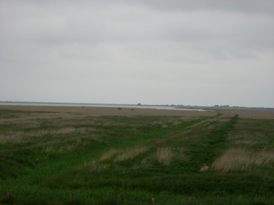 CIMG6025.JPG