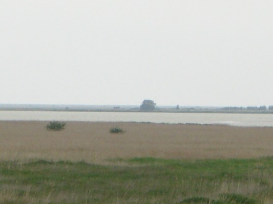 CIMG6026.JPG